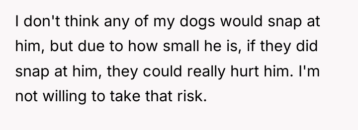 I don't think any of my dogs would snap at...