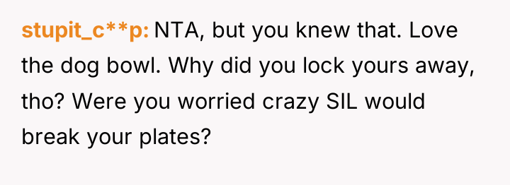 stupit_c**p NTA, but you knew that. Love the dog bowl....