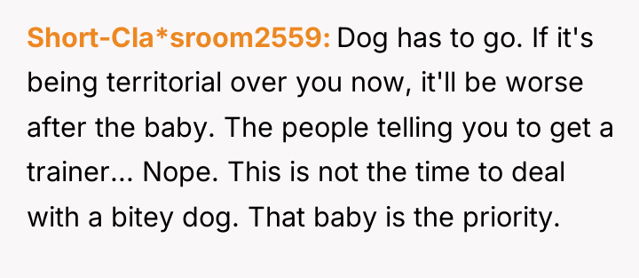 Short-Cla*sroom2559 Dog has to go. If it's being territorial over...