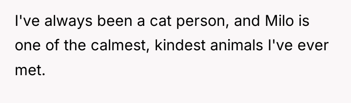 I've always been a cat person, and Milo is one...