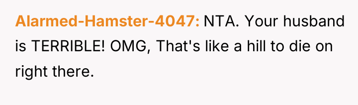 Alarmed-Hamster-4047 NTA. Your husband is TERRIBLE! OMG, That's like a...