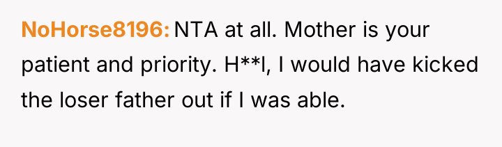 NoHorse8196 NTA at all. Mother is your patient and priority....