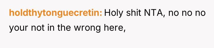 holdthytonguecretin Holy shit NTA, no no no your not in...