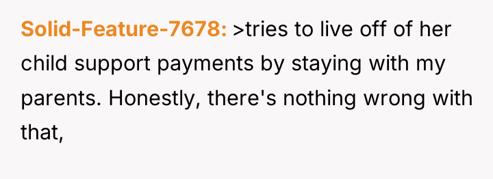 Solid-Feature-7678 >tries to live off of her child support payments...