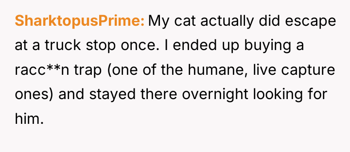 SharktopusPrime My cat actually did escape at a truck stop...