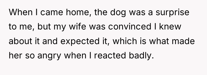 When I came home, the dog was a surprise to...