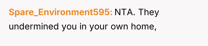 Spare_Environment595 NTA. They undermined you in your own home,