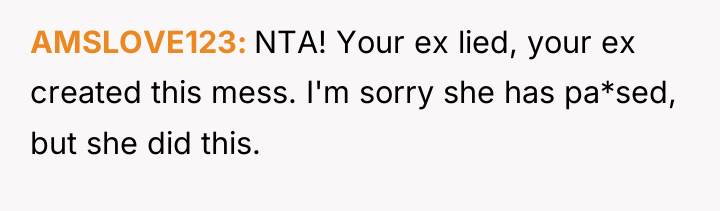 AMSLOVE123 NTA! Your ex lied, your ex created this mess....