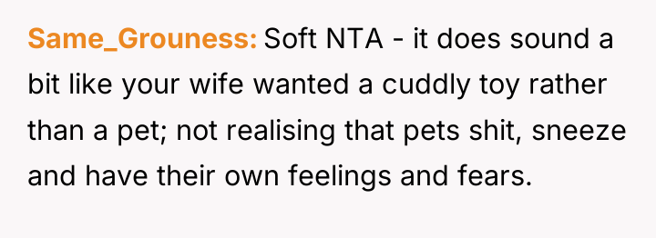 Same_Grouness Soft NTA - it does sound a bit like...
