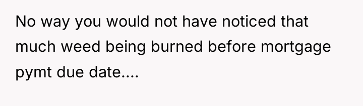 No way you would not have noticed that much weed...