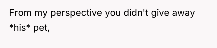 From my perspective you didn't give away *his* pet,