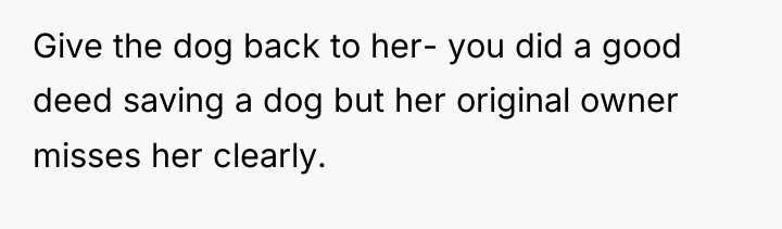 Give the dog back to her- you did a good...