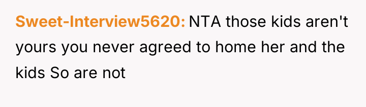Sweet-Interview5620 NTA those kids aren't yours you never agreed to...