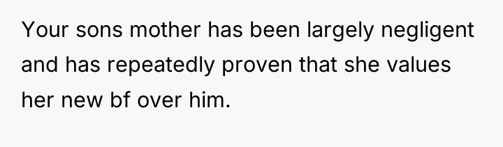 Your sons mother has been largely negligent and has repeatedly...