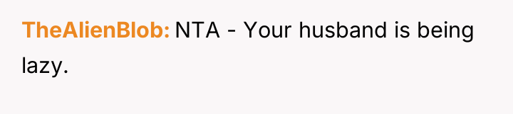 TheAlienBlob NTA - Your husband is being lazy.