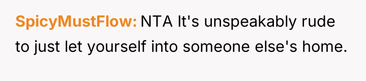 SpicyMustFlow NTA It's unspeakably rude to just let yourself into...
