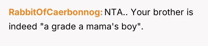 RabbitOfCaerbonnog NTA.. Your brother is indeed "a grade a mama's...