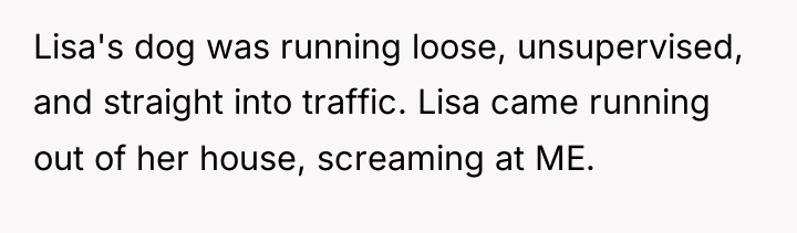 Lisa's dog was running loose, unsupervised, and straight into traffic....