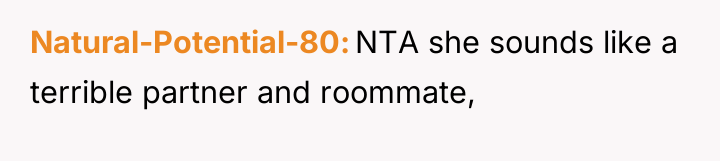 Natural-Potential-80 NTA she sounds like a terrible partner and roommate,