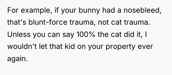 For example, if your bunny had a nosebleed, that's blunt-force...