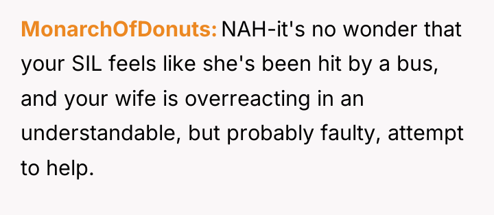 MonarchOfDonuts NAH-it's no wonder that your SIL feels like she's...