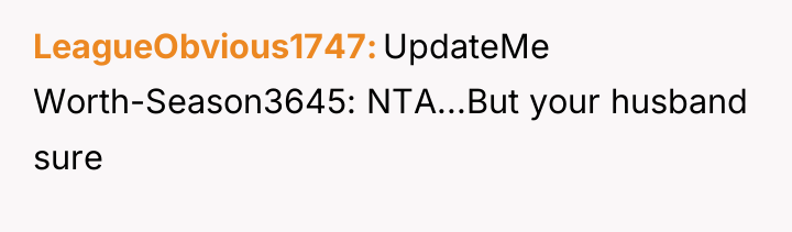 LeagueObvious1747 UpdateMe Worth-Season3645: NTA...But your husband sure