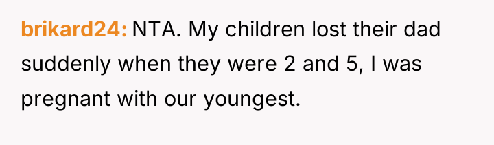 brikard24 NTA. My children lost their dad suddenly when they...
