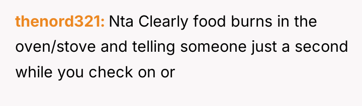 thenord321 Nta Clearly food burns in the oven/stove and telling...