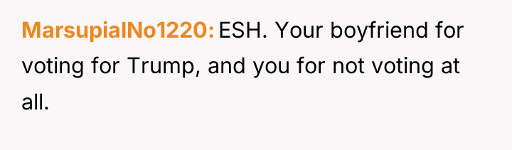 MarsupialNo1220 ESH. Your boyfriend for voting for Trump, and you...
