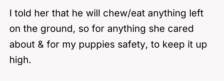 I told her that he will chew/eat anything left on...