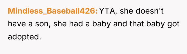 Mindless_Baseball426 YTA, she doesn't have a son, she had a...