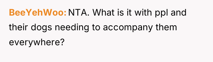 BeeYehWoo NTA. What is it with ppl and their dogs...