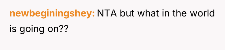 newbeginingshey NTA but what in the world is going on??