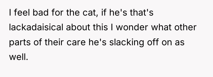 I feel bad for the cat, if he's that's lackadaisical...