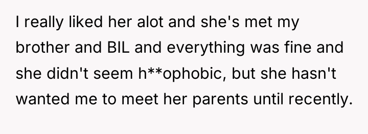 I really liked her alot and she's met my brother...