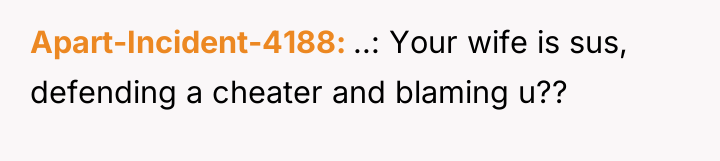 Apart-Incident-4188 ..: Your wife is sus, defending a cheater and...