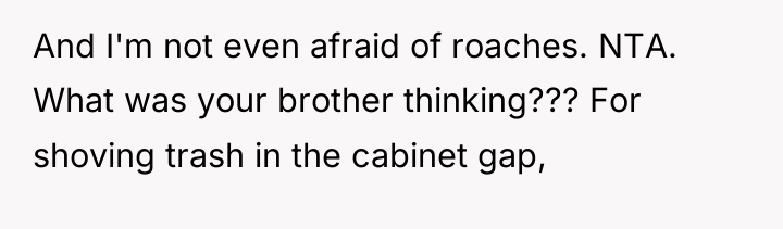 And I'm not even afraid of roaches. NTA. What was...