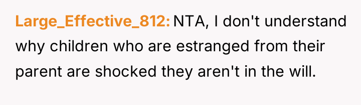 Large_Effective_812 NTA, I don't understand why children who are estranged...
