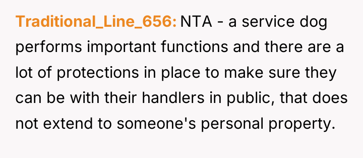 Traditional_Line_656 NTA - a service dog performs important functions and...