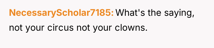 NecessaryScholar7185 What's the saying, not your circus not your clowns.