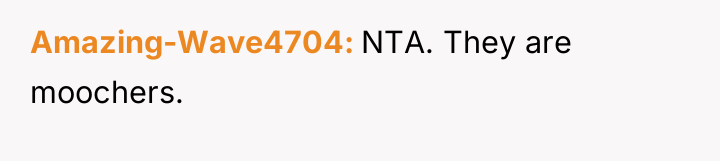 Amazing-Wave4704 NTA. They are moochers.