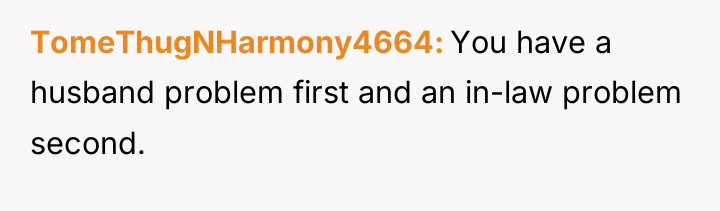 TomeThugNHarmony4664 You have a husband problem first and an in-law...