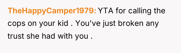 TheHappyCamper1979 YTA for calling the cops on your kid ....