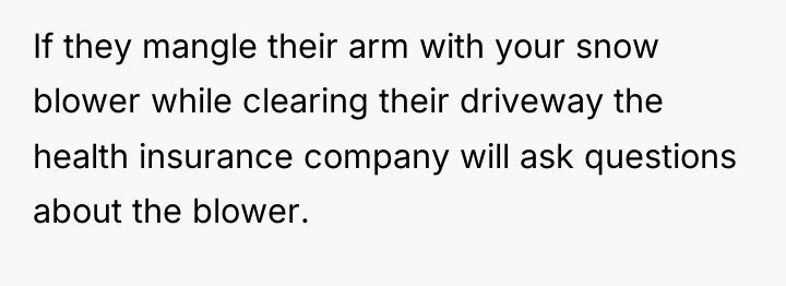 If they mangle their arm with your snow blower while...