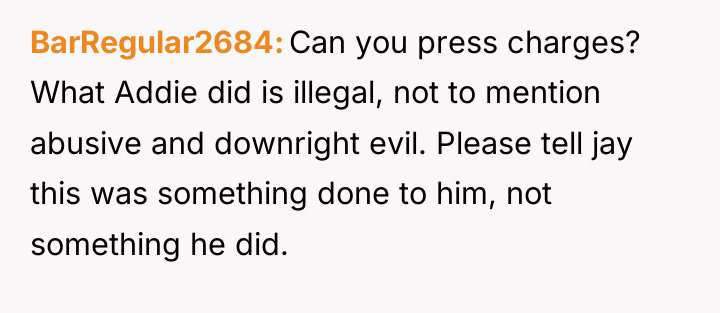 BarRegular2684 Can you press charges? What Addie did is illegal,...