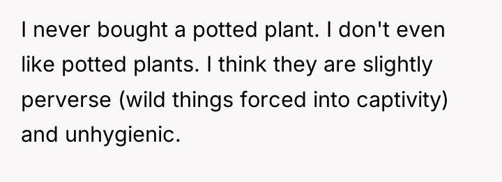 I never bought a potted plant. I don't even like...