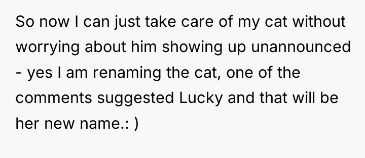 So now I can just take care of my cat...