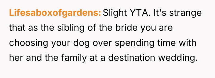 Lifesaboxofgardens Slight YTA. It's strange that as the sibling of...