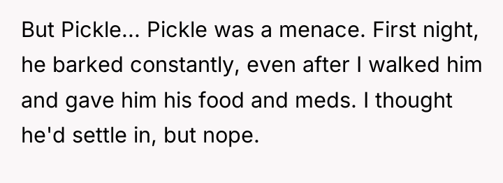 But Pickle... Pickle was a menace. First night, he barked...