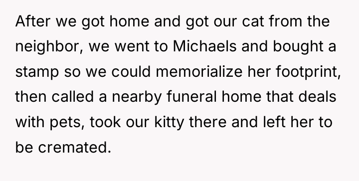 After we got home and got our cat from the...
